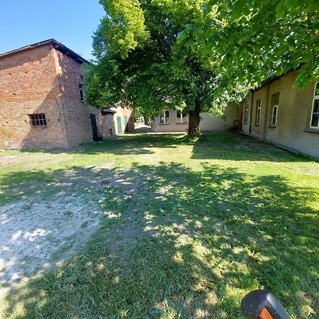 Ferienhaus Sommer Linden Deyelsdorf 外观 照片